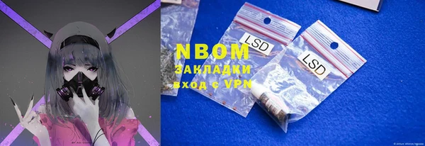 индика Балахна