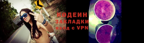индика Балахна