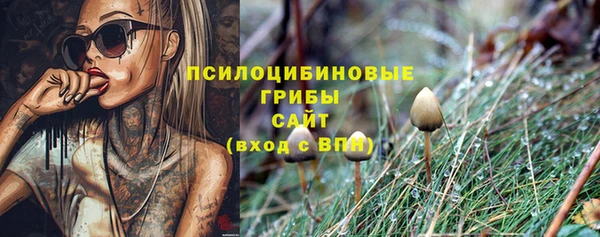 ГАЛЛЮЦИНОГЕННЫЕ ГРИБЫ Баксан