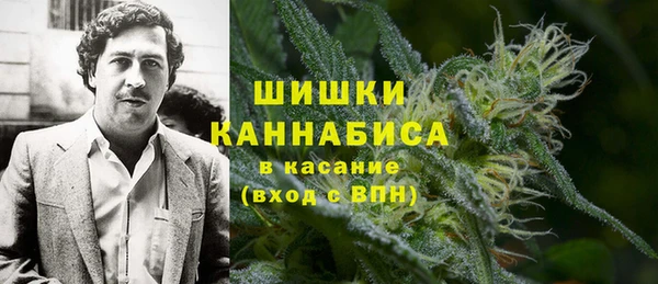 ГАЛЛЮЦИНОГЕННЫЕ ГРИБЫ Баксан
