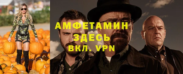 индика Балахна