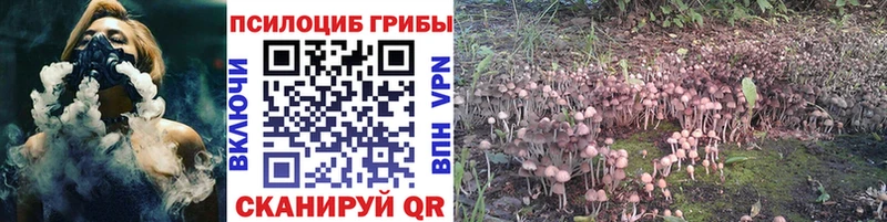Псилоцибиновые грибы Magic Shrooms  мега как войти  Мураши 